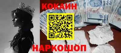 крисы Шелехов