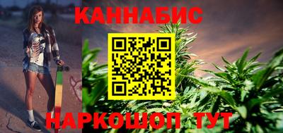 крисы Шелехов