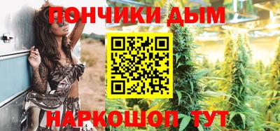 крисы Шелехов