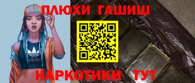 крисы Шелехов